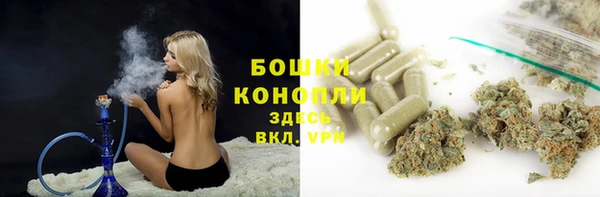 ешки Верея
