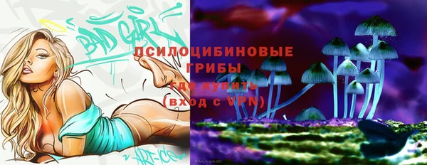 гашик Бородино