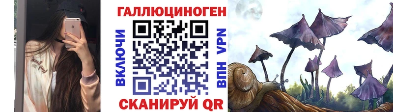 Псилоцибиновые грибы Cubensis  Егорьевск 